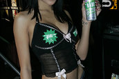 HOT IMPORT NIGHTS California 2006