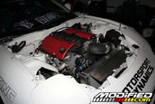 HOT IMPORT NIGHTS California 2006