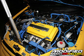 HOT IMPORT NIGHTS California 2006