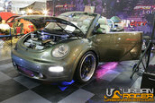 HOT IMPORT NIGHTS California 2006