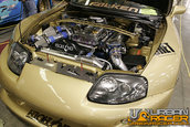 HOT IMPORT NIGHTS California 2006