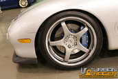 HOT IMPORT NIGHTS California 2006