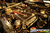 HOT IMPORT NIGHTS California 2006