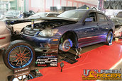HOT IMPORT NIGHTS California 2006