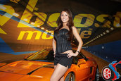 Hot Import Nights - Chantilly