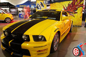Hot Import Nights - Chantilly