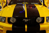 Hot Import Nights - Chantilly