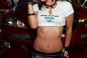 Hot Import Nights - Chantilly