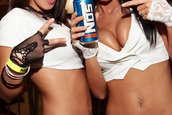 Hot Import Nights - Chantilly