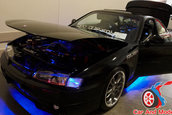 Hot Import Nights - Indianapolis