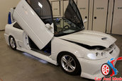 Hot Import Nights - Indianapolis