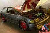 Hot Import Nights - Indianapolis