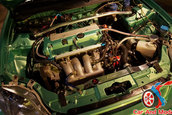 Hot Import Nights - Indianapolis