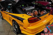 Hot Import Nights - Indianapolis