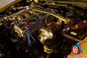 Hot Import Nights - Indianapolis