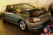 Hot Import Nights - Indianapolis