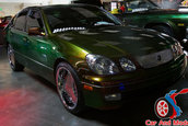 Hot Import Nights - Indianapolis