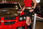 Hot Import Nights - Indianapolis