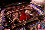 Hot Import Nights - Indianapolis