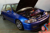 Hot Import Nights - Indianapolis