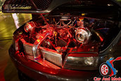Hot Import Nights - Indianapolis