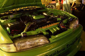 Hot Import Nights - Indianapolis