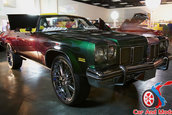 Hot Import Nights - Indianapolis