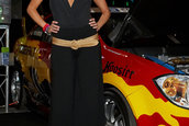 Hot Import Nights - Indianapolis