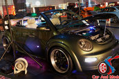 Hot Import Nights - Indianapolis
