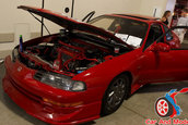 Hot Import Nights - Indianapolis