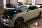 Hot Import Nights - Indianapolis
