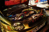 Hot Import Nights - Indianapolis