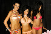 Hot Import Nights Los Angeles 2008