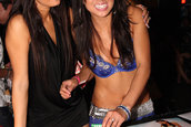 Hot Import Nights Los Angeles 2008