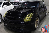 Hot Import Nights Los Angeles 2008
