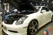 Hot Import Nights Los Angeles 2008