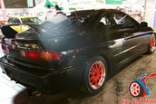 Hot Import Nights - Orlando