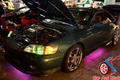 Hot Import Nights - Orlando