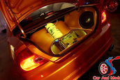 Hot Import Nights - Orlando