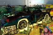 Hot Import Nights - Orlando