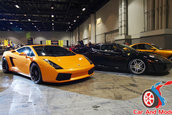 Hot Import Nights - Orlando