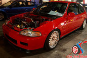 Hot Import Nights - Orlando