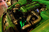 Hot Import Nights - Orlando