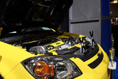 Hot Import Nights - Orlando