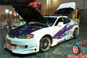 Hot Import Nights - Orlando
