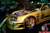 Hot Import Nights - Orlando