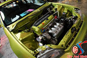Hot Import Nights - Orlando