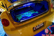 Hot Import Nights - Orlando