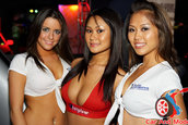 Hot Import Nights - Orlando