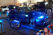 Hot Import Nights - Orlando